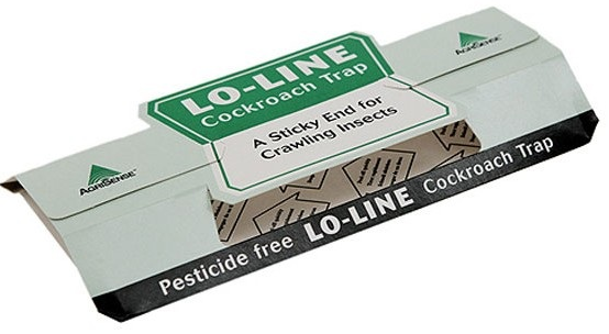 Cockroach Lo-Line glue traps, 10pcs